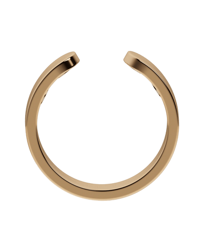 Vital Ring
